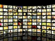 AV System - Digital Audio Visual, Digital Signape, IPTV, Public Announcement